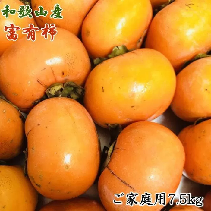 和歌山産富有柿ご家庭用約7.5kg★2025年11月上旬頃より順次発送【TM6】