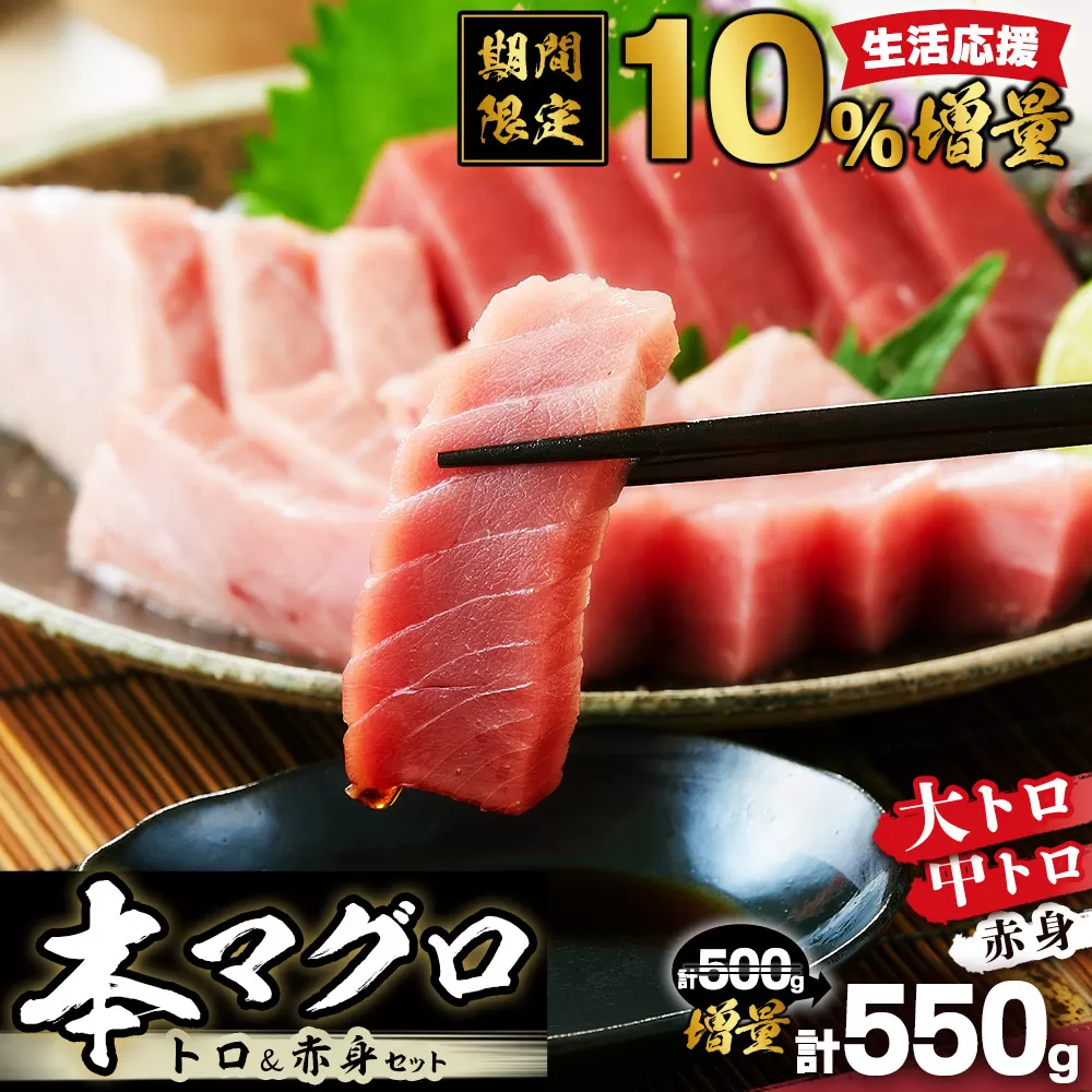 【期間限定】本マグロ トロ+赤身セット 500g | 大トロ 中トロ 鮪 刺身 寿司　生活応援