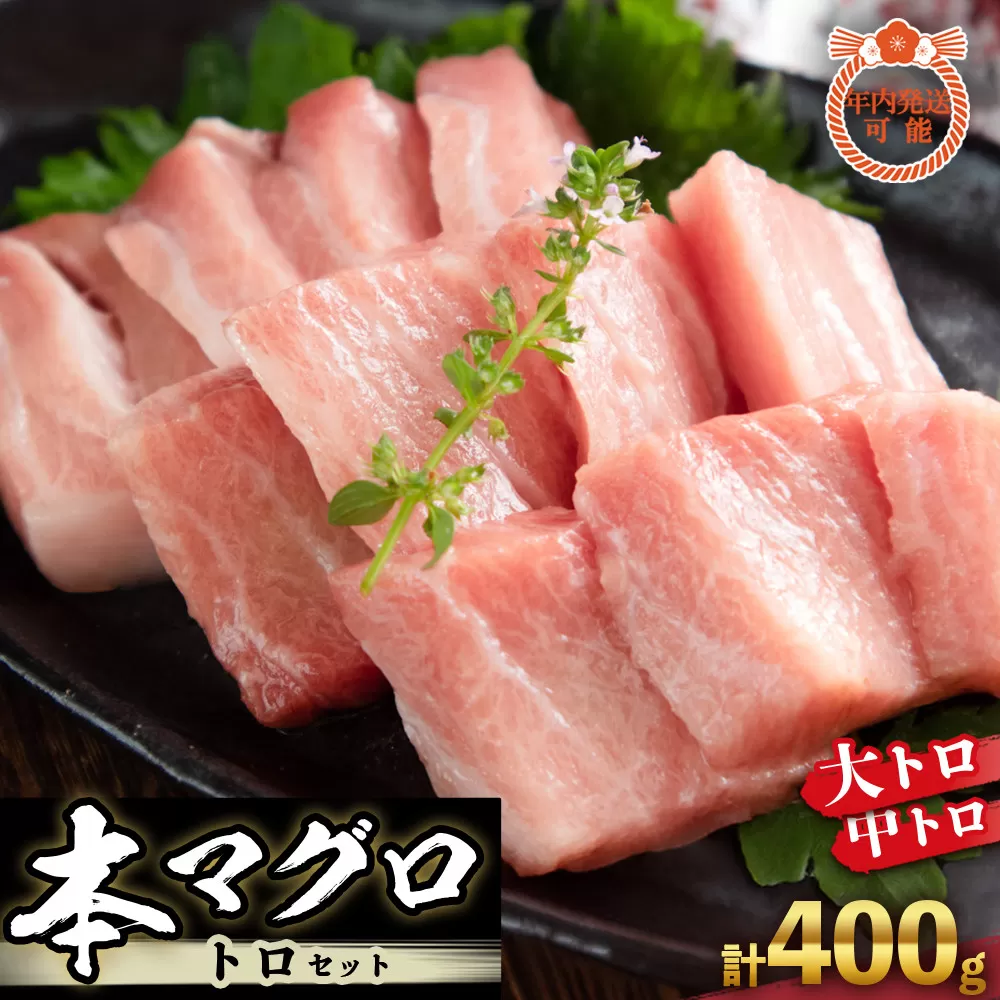 本マグロ トロセット 400g | 【年末年始お届け可能】大トロ 中トロ 鮪 刺身 寿司 お正月
