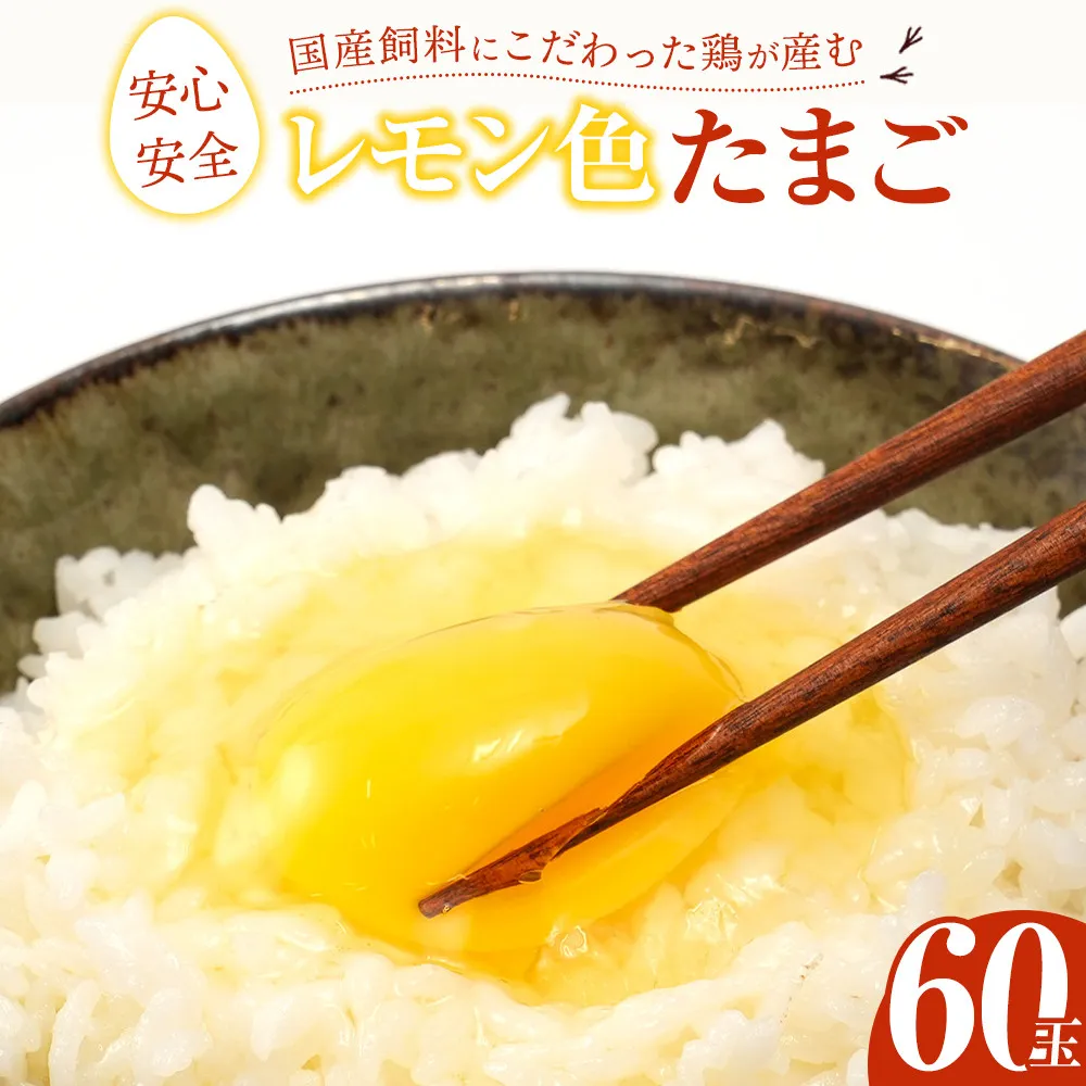 国産飼料にこだわった鶏が産む安全安心の『レモン色たまご』60玉（55玉＋割れ保証5玉）［Hn2］
