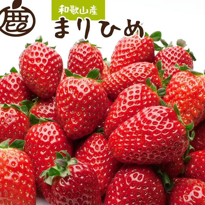 朝摘み完熟まりひめ約1.2kg（300g前後×4トレイ）［和歌山ブランド苺まりひめ］［こだわりの土耕栽培のいちごを農家直送］［IKE97］