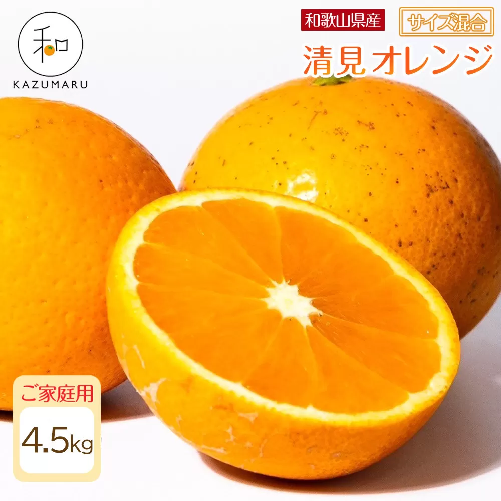 家庭用 森本農園の手選別 清見オレンジ 4.5kg 和歌山県産 サイズ混合 ［北海道・沖縄・離島配送不可］［RN22］［2026年2月上旬から5月中旬頃順次発送予定］