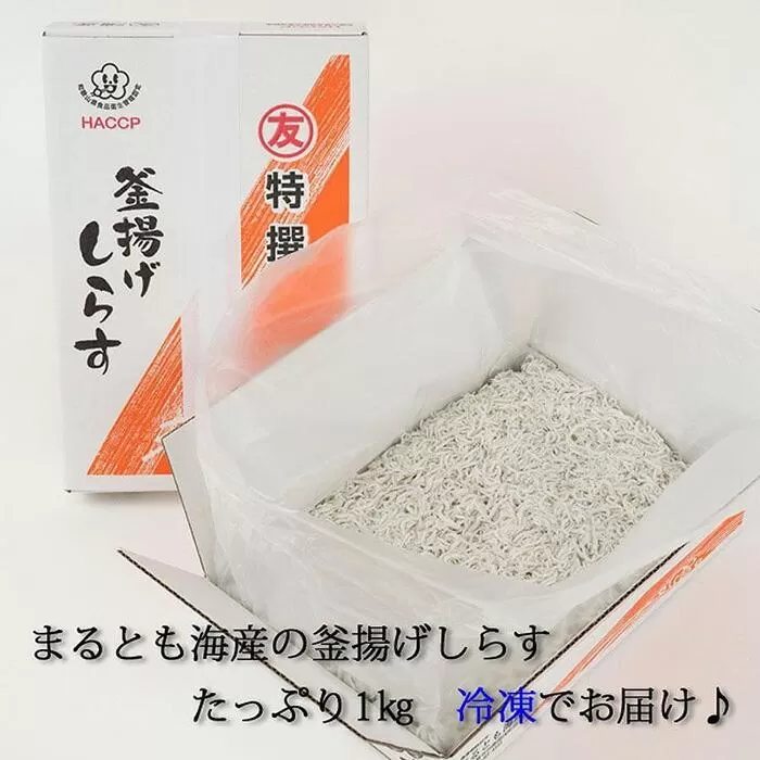 紀州湯浅湾直送！　茹でたて釜揚げしらす 箱入　1kg　【冷凍】