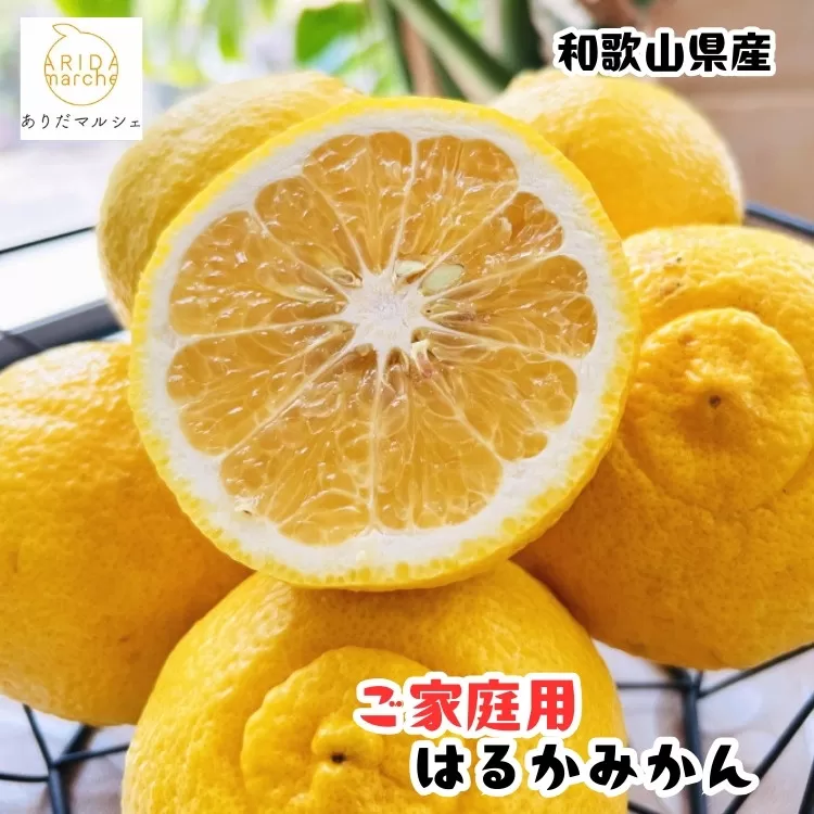 ［先行予約］［人気柑橘］ 有田育ちの はるか みかん（訳あり 家庭用）3kg［MS52］