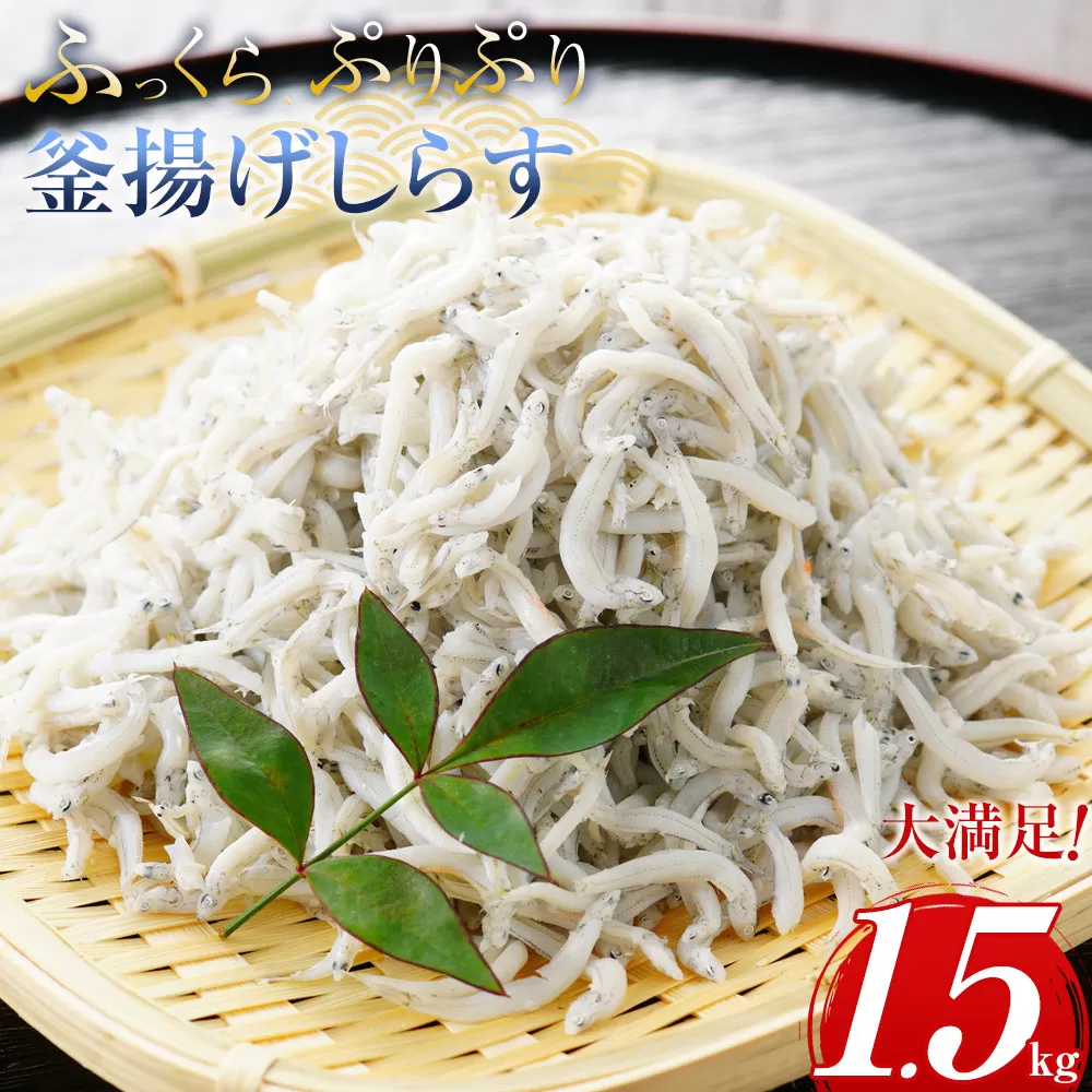 ＼注文数急上昇／釜揚げしらす 1.5kg(500×3パック) しらす職人厳選 ふっくら&ぷりぷり