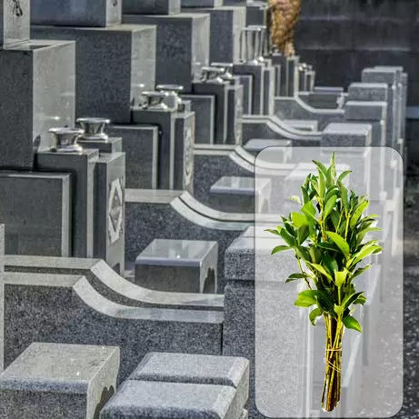 お墓掃除＋しきみ１対