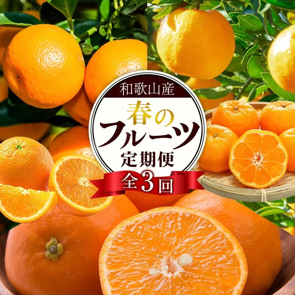 和歌山の春のフルーツ（ポンカン・清見オレンジ・セミノールオレンジ）定期便 全3回 【2月・3月・4月発送】【TM184】