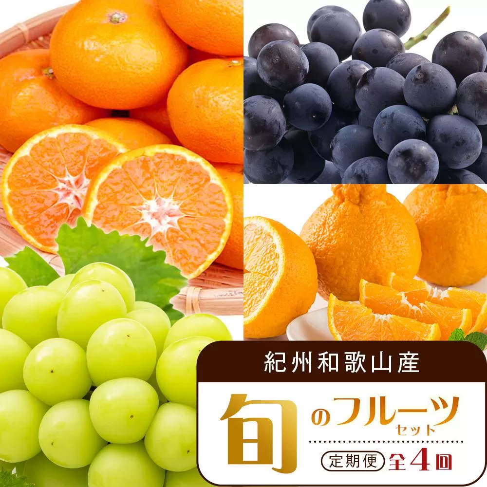 【2・8・9・12月 全4回 定期便 】紀州和歌山産旬のフルーツセット（不知火・種なし巨峰・シャインマスカット・みかん）【UT123】