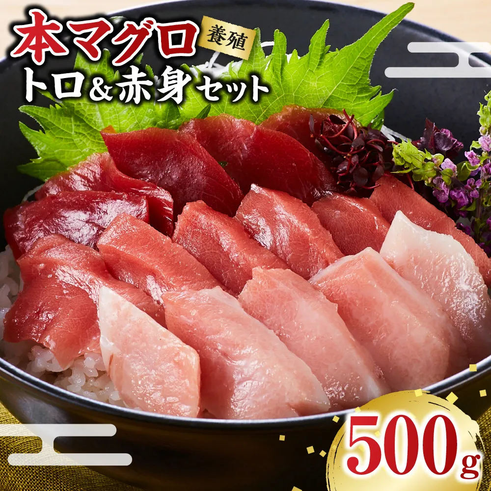 本マグロ（養殖）トロ＆赤身セット 500g［KS12］