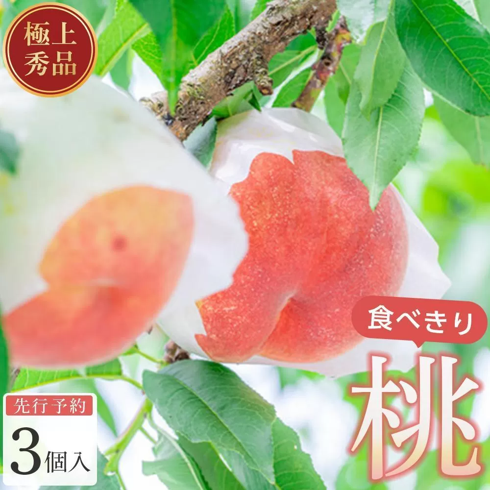 桃 極上秀品 食べきりやすい3個入［先行予約］［2026年7月末から8月末順次発送］こだわり農家厳選！［KG18］