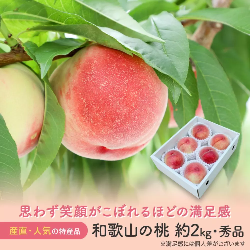 【産直・人気の特産品】和歌山の桃　約2kg・秀選品★2025年6月下旬～8月上旬頃順次発送★【TM167】