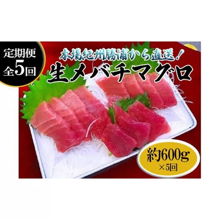 【定期便全5回】生まぐろの本場紀州勝浦から直送！　生メバチマグロ 約600g（1カ月に1回お届け）（全5ヵ月）