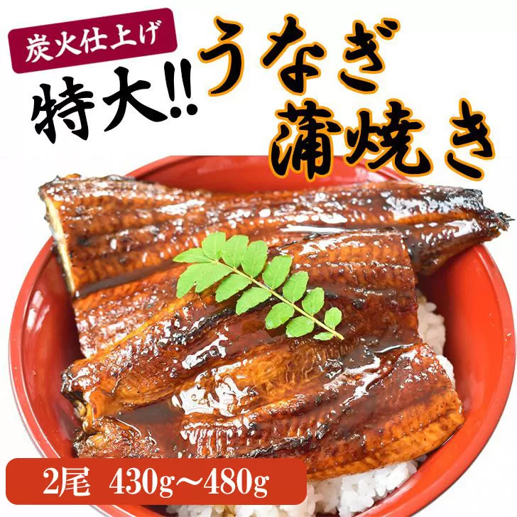 うなぎ蒲焼き2尾入り 430g〜480g（蒲焼たれ4袋 山椒付き）［KS5］
