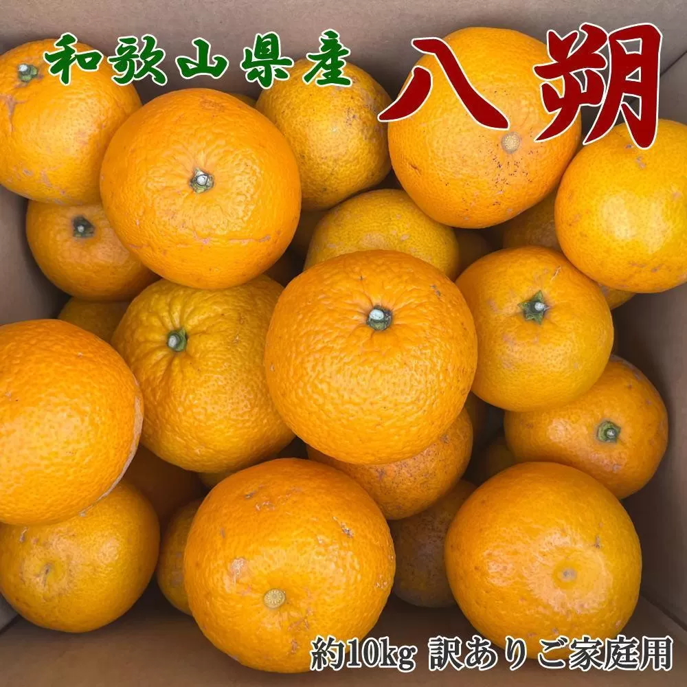 ［手選果 訳あり］和歌山 由良町産 八朔 約10kg サイズ混合 ご家庭用 ［TM205］