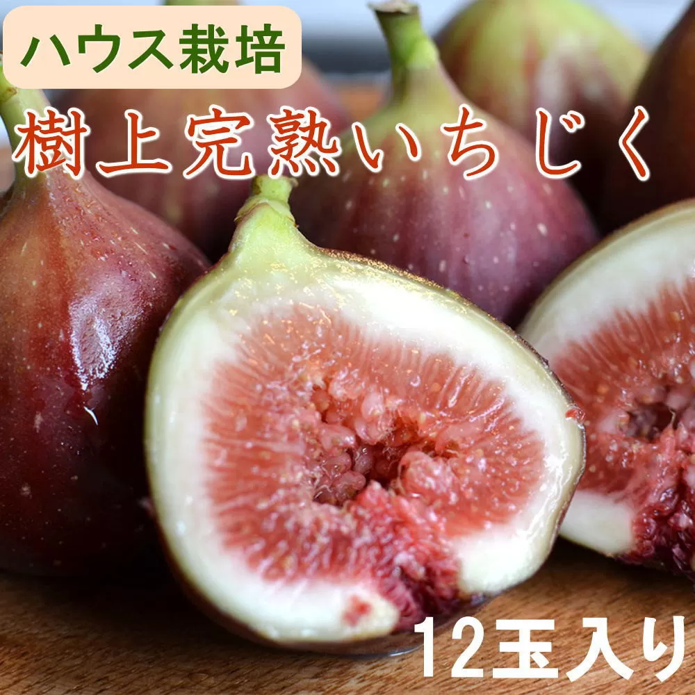 ［ハウス栽培］和歌山県産 樹上完熟 いちじく 12玉入り ★2025年8月より順次発送 ［TM207］