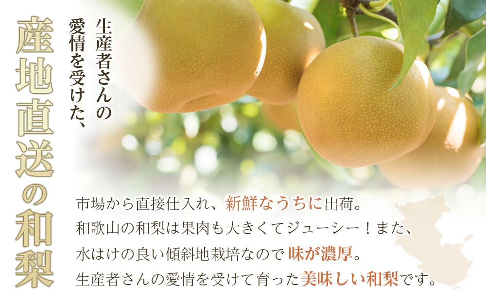 和歌山県産 旬の梨 3玉（4Lサイズ） 【2024年8月中旬以降順次