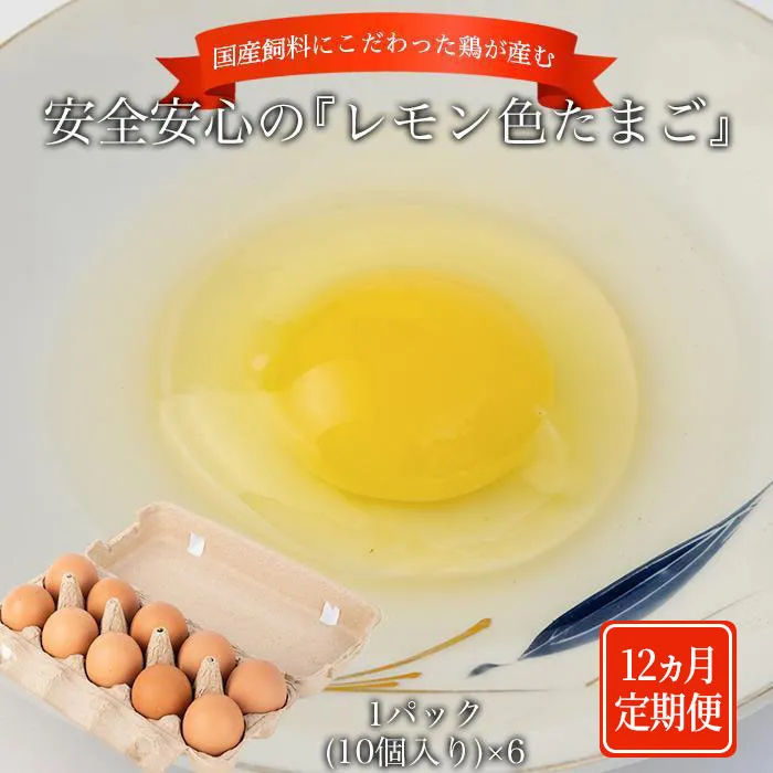 【定期便12か月】国産飼料にこだわった鶏が産む安全安心の 『レモン色たまご』60個（55個＋割れ保証5個） ［Hn12］