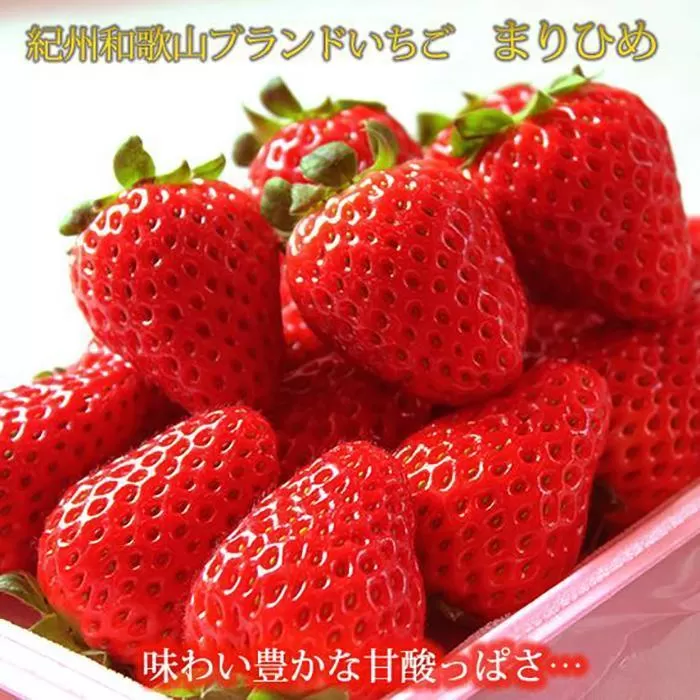 紀州和歌山ブランドいちご「まりひめ」約250g×4P 【2026年3月上旬頃～2026年3月下旬頃に順次発送】【UT39】