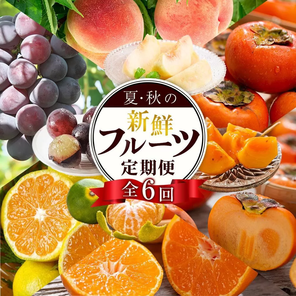 【定期便全6回】夏・秋の新鮮フルーツ定期便 ［TM203］