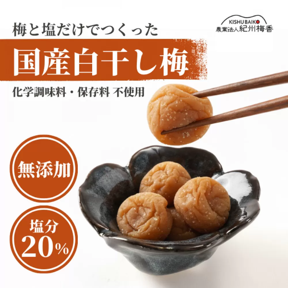 無添加 塩だけ 昔ながらの梅干し 南高梅 紀州梅香 完熟 白干し梅 訳あり つぶれ梅1kg （500gパック×2個） 塩分20% 20-G ［KU14］
