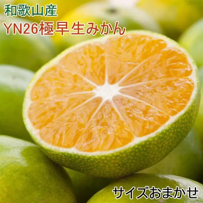 【産直】YN26極早生みかん約5kg（2S～Mサイズおまかせ）★2025年9月中旬頃より順次発送【TM13】