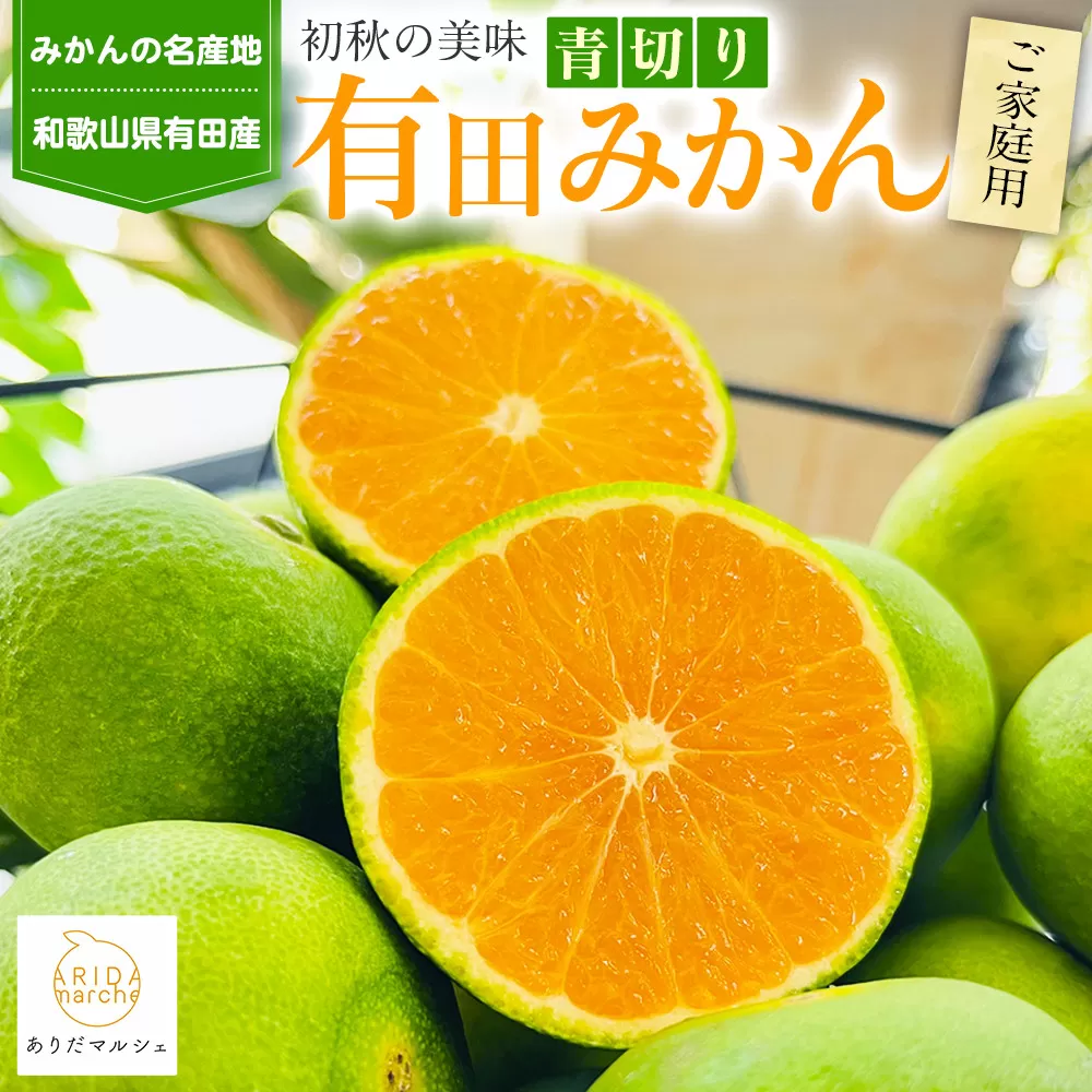 ［先行予約］有田育ちのご家庭用青切り有田みかん10kg ［2025年9月中旬より発送］［訳あり］［サイズ混合］［MS19］