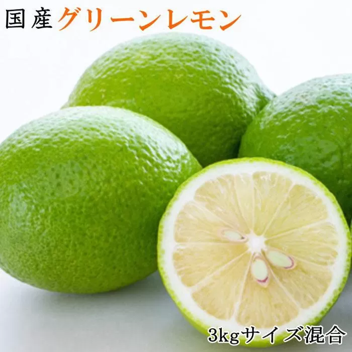 ［産直］和歌山産グリーンレモン約3kg（サイズ混合）★2025年10月下旬頃より順次発送［TM7］