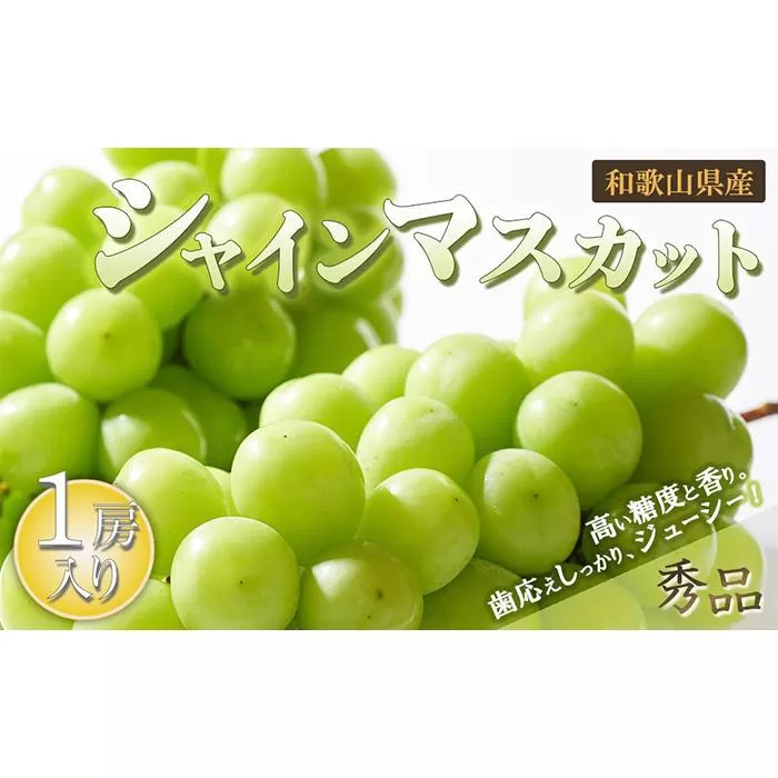 シャインマスカット 1房（600g以上）［2025年8月中旬以降出荷］［MG24］