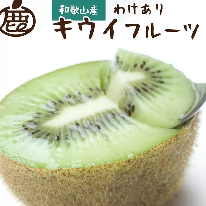＜11月より発送＞家庭用 キウイフルーツ3.5kg+105g（傷み補償分）【わけあり・訳あり・扁平果】【IKE82】