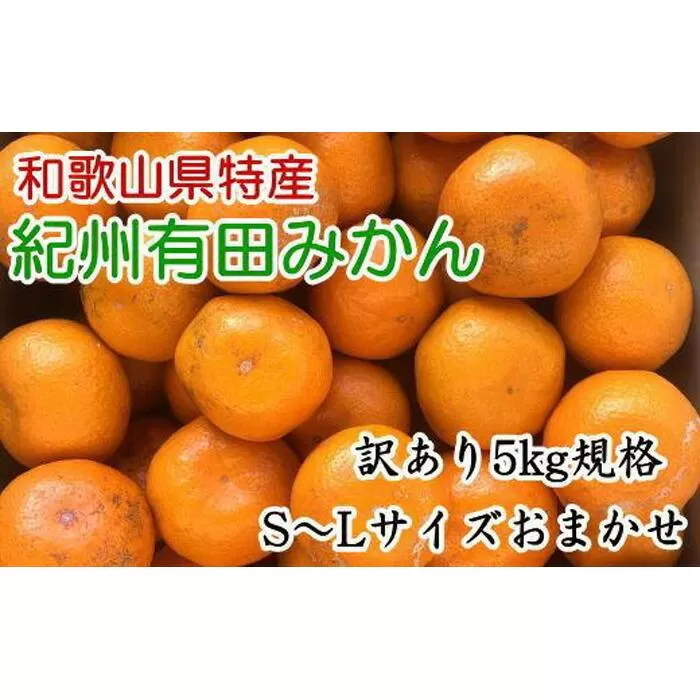 [訳あり]和歌山有田みかん約5kg（S〜Lサイズいずれかお届け）★2025年11月中旬頃より順次発送［TM81］