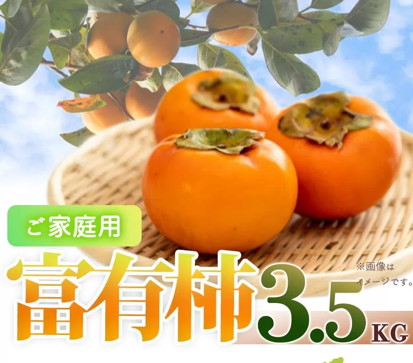 【ご家庭用わけあり】和歌山秋の味覚　富有柿　約3．５ｋｇ　「2025年11月上旬以降発送予定」【UT51】