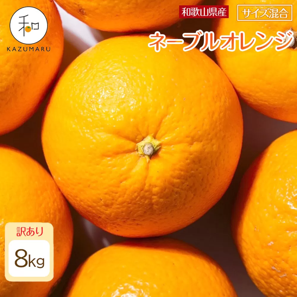 訳あり 森本農園の手選別 ネーブルオレンジ 8kg 和歌山県産 サイズ混合 ［北海道・沖縄・離島配送不可］［RN20］［2027年1月上旬から順次発送］