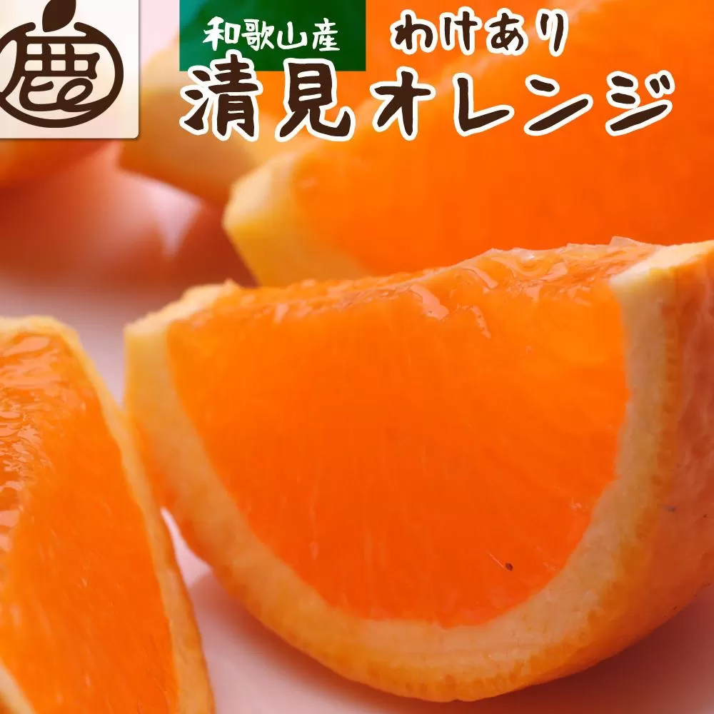 ［先行予約］家庭用 清見オレンジ2.5kg+250g（傷み補償分）［光センサー食頃出荷］［樹上完熟きよみオレンジ・清見タンゴール・清美］［わけあり・訳あり］［IKE144］
