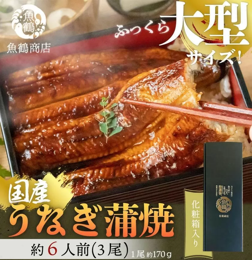 大型サイズ　ふっくら柔らか　国産うなぎ蒲焼き　3尾　化粧箱入［夏土用の丑の日のうなぎ］［7月19日までにお届け］［UT06］