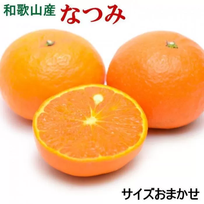 ［希少柑橘］和歌山県産なつみ約5kg（S〜2Lサイズおまかせ）★2026年4月頃より順次発送［TM147］
