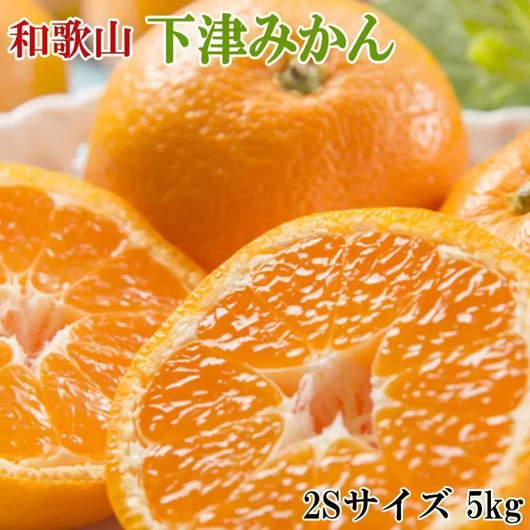 【産直・秀品】和歌山下津みかん約5kg（2Sサイズ）★2025年11月中旬頃より順次発送［TM72］