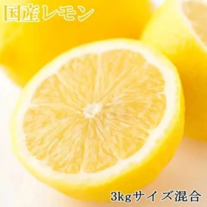 【産直】和歌山産レモン約3kg（サイズ混合）★2025年3月中旬頃より順次発送【TM150】