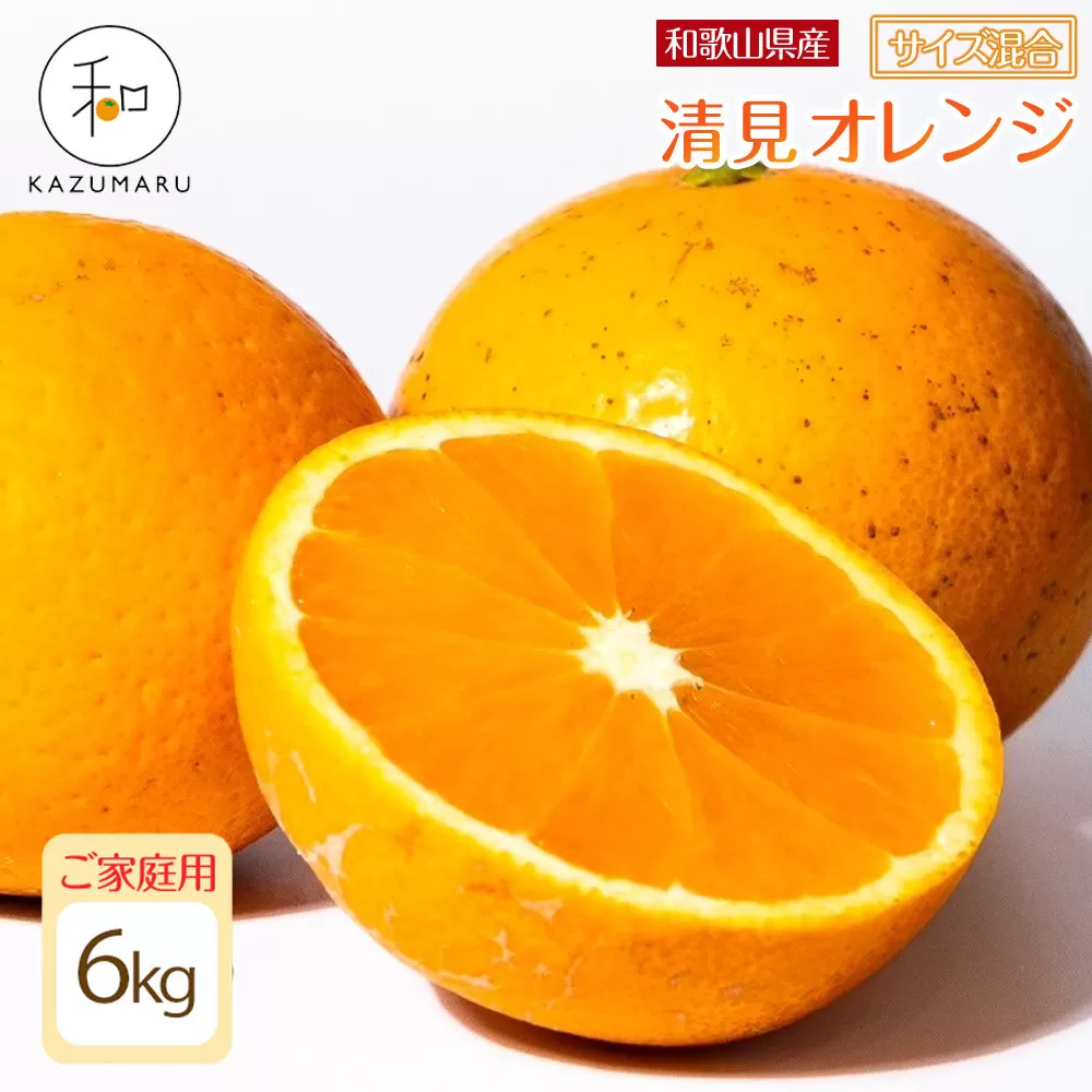 家庭用 森本農園の手選別 清見オレンジ 6kg 和歌山県産 サイズ混合 ［北海道・沖縄・離島配送不可］［RN38］［2026年2月上旬から5月中旬頃順次発送予定］