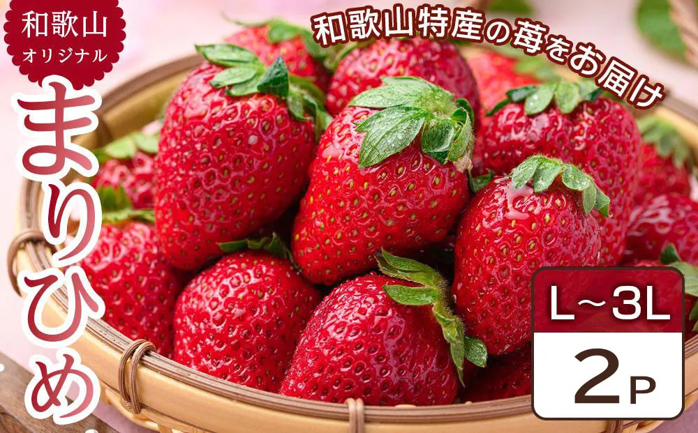 [先行予約] 和歌山県 オリジナル まりひめ イチゴ 2パック入り（3L～L寸）