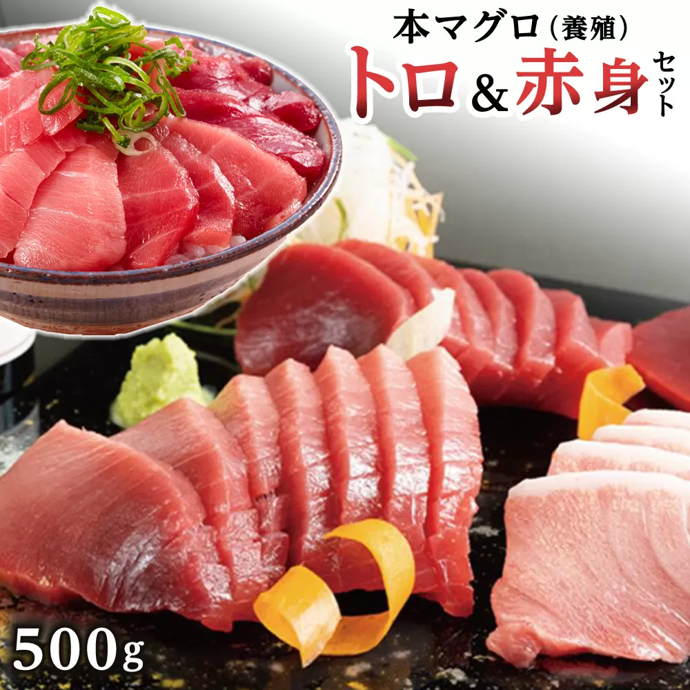 本マグロ（養殖）トロ＆赤身セット 500g［KS12］