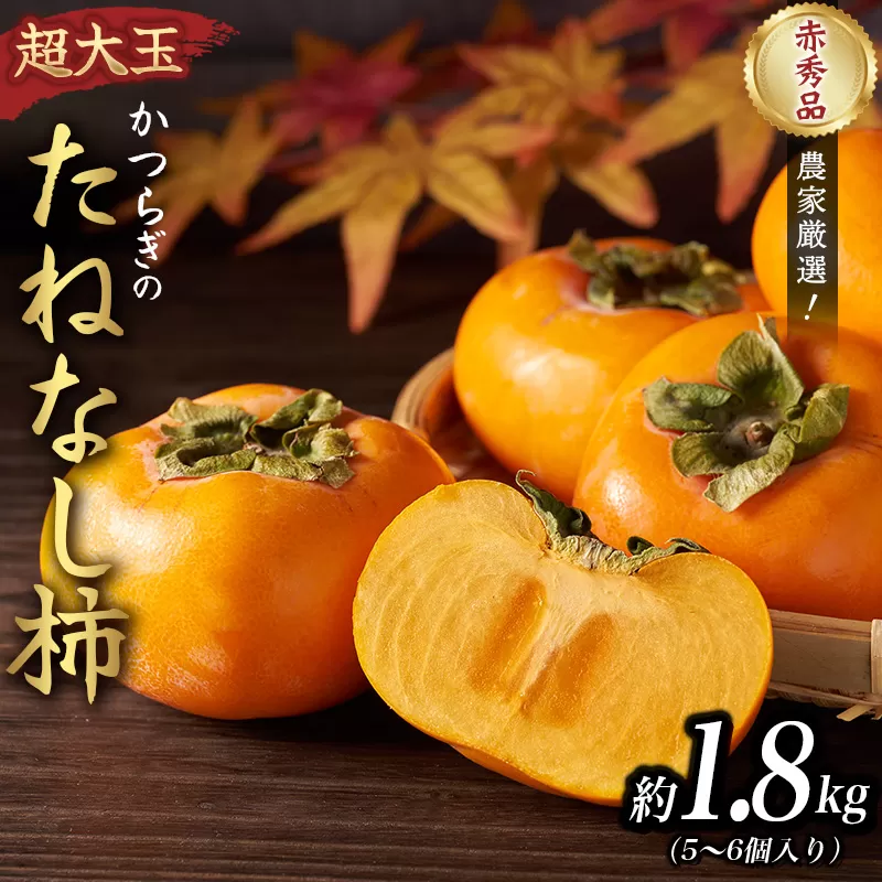 柿 種無し 赤秀品 超大玉 約1.8kg 5～6個 【先行予約】【2025年9月下旬から10月下旬頃発送】【kgr023】