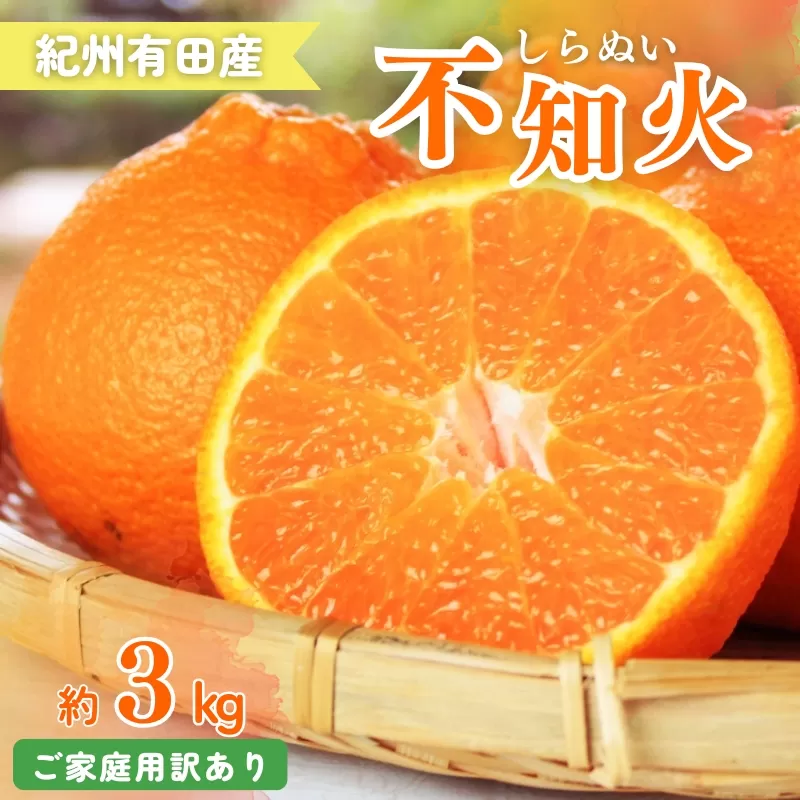 【ご家庭用訳あり】紀州有田産不知火(しらぬひ) 約3kg 【予約】※2026年2月中旬頃〜2026年3月中旬頃に順次発送予定(お届け日指定不可)【uot830A】