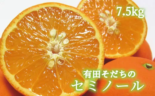 【2024年4月より順次発送】有田育ちの爽快セミノールオレンジ(ご家庭用)　約7.5kg