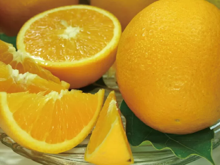 バレンシアオレンジ[約5kg]湯浅町田村産春みかん春かんきつ(無選別・果実サイズ混合)　※2025年6月中旬～2025年7月下旬頃に順次発送