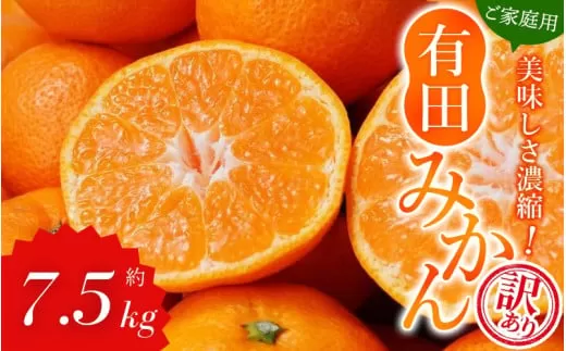 [[訳あり]農家直送 有田みかん 約7.5kg ※11月中旬から1月中旬までに順次発送予定 [自](お届け日指定不可)※北海道・沖縄・離島への配送不可[nuk157c]