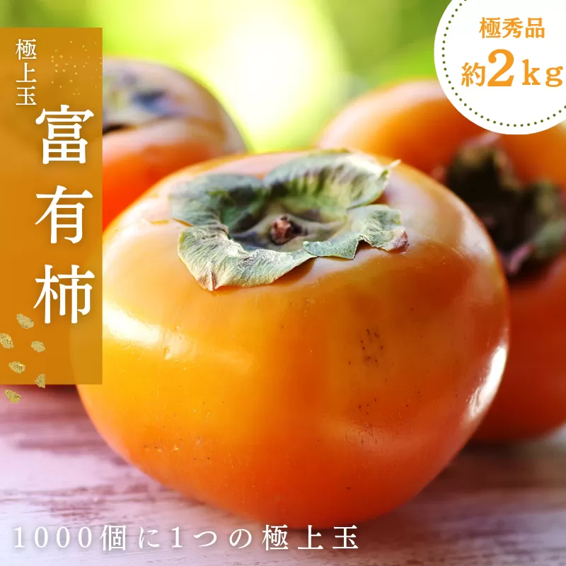 【先行予約】富有柿 2kg～2.5kg 6個入 至高の逸品 約1000個に１個！ 2025年10月下旬～2025年11月下旬頃に順次発送予定（お届け日指定不可）/ 和歌山 柿 かき フルーツ 果物 くだもの 刀根 種無し【kgr013】 