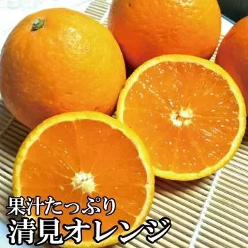 ＼光センサー選別／ 【農家直送】果汁たっぷり！清見オレンジ 約5kg  有機質肥料100%　 サイズ混合　※2026年3月上旬より順次発送予定（お届け日指定不可）【nuk112B】 