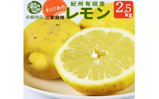【ご家庭用訳あり】紀州有田産レモン　2.5kg【予約】※2026年3月上旬頃〜2026年3月中旬頃に順次発送予定(お届け日指定不可) レモン れもん 果物 柑橘