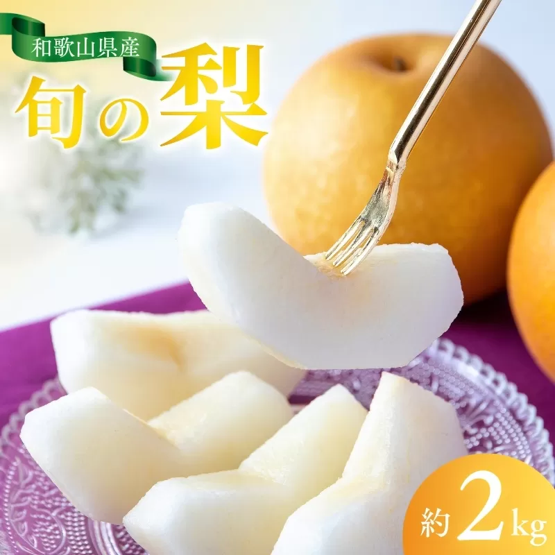 【先行予約受付】和歌山県産の美味しい梨 約2kg （6〜8玉入り）【2026年8月中旬頃から9月中旬順次発送予定】【mat103B】