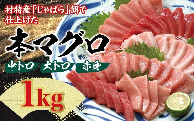 本マグロ（養殖）トロ＆赤身セット1kg 【7月発送】/ まぐろ 鮪 とろ 赤身 魚介 海鮮 魚 本マグロ【nks105B-7】